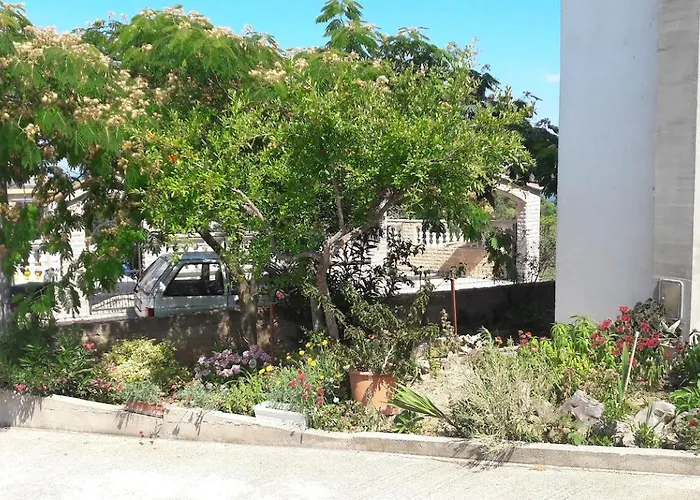 House Marie's Lavander Dream